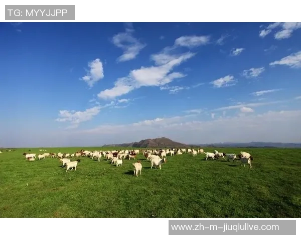 小牛与公牛的较量谁才是草原之王的真正代表